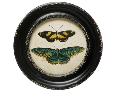 Framed Wall Decor with Moths/Butterflies Image