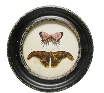 Framed Wall Decor with Moths/Butterflies Image