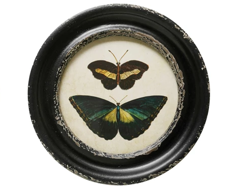 Framed Wall Decor with Moths/Butterflies Image