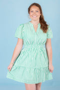 The Striped Mini Dress
