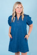 The Ditzy Denim Mini Dress