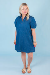 The Ditzy Denim Mini Dress