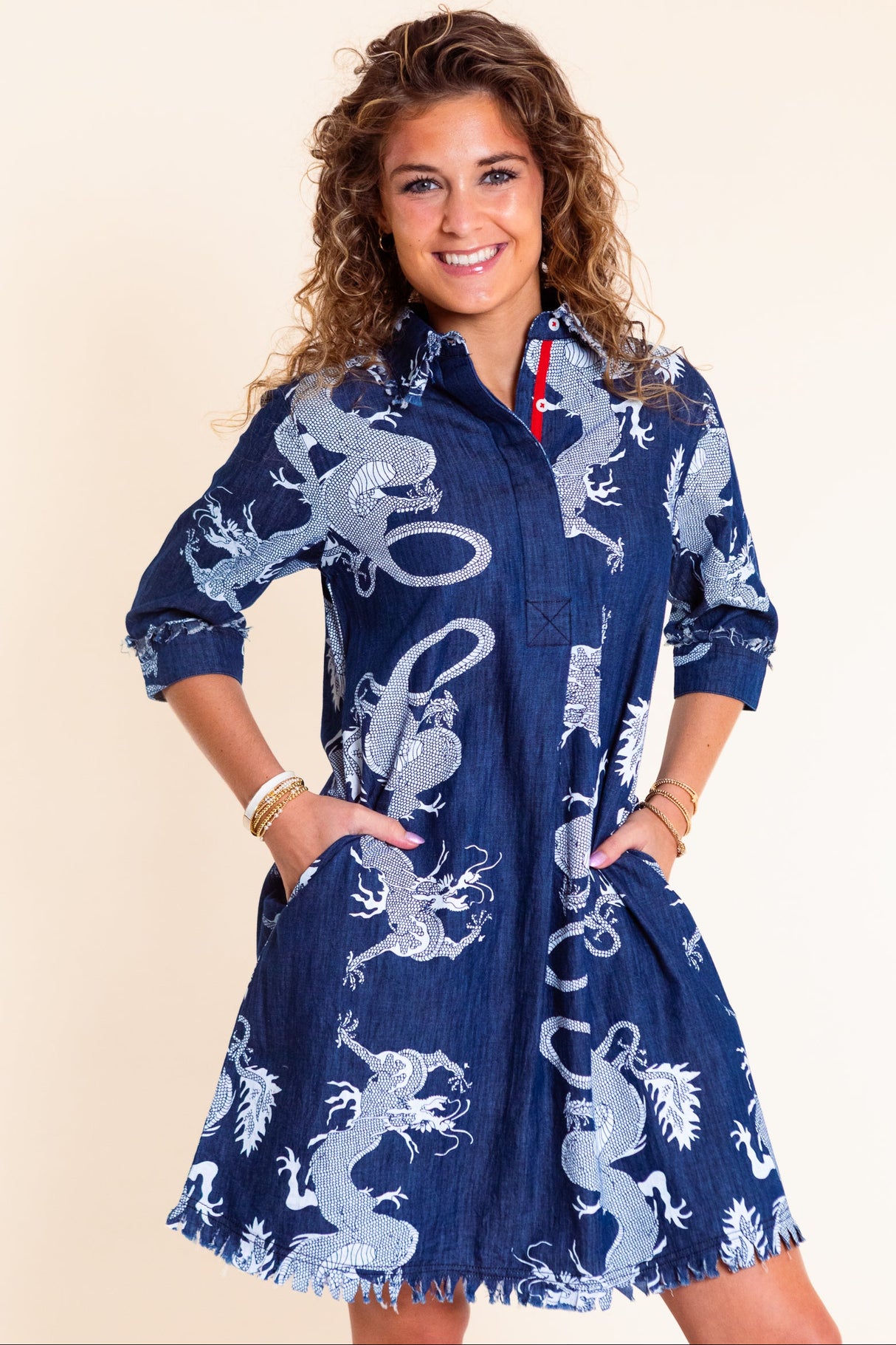 Dizzy Lizzie | Chatham Dress in Blue Denim Dragon Print