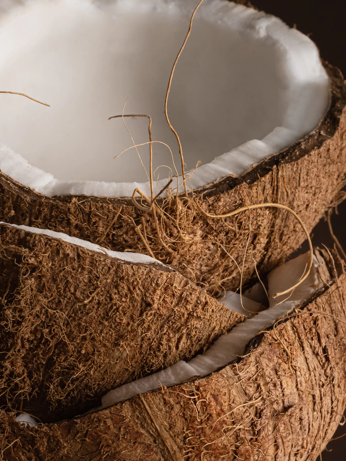 Becki Owens | Coconut Calm Pura Fragrance Refill (Final Sale)