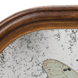 Creative Co-Op | Square Wood Framed Antique Mirror Wall Decor with Butterflies & Metal Wall Hook