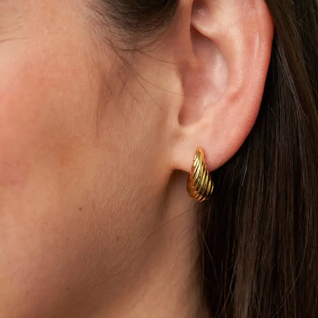 Brenda Grands Jewelry | Small Shell Earrings