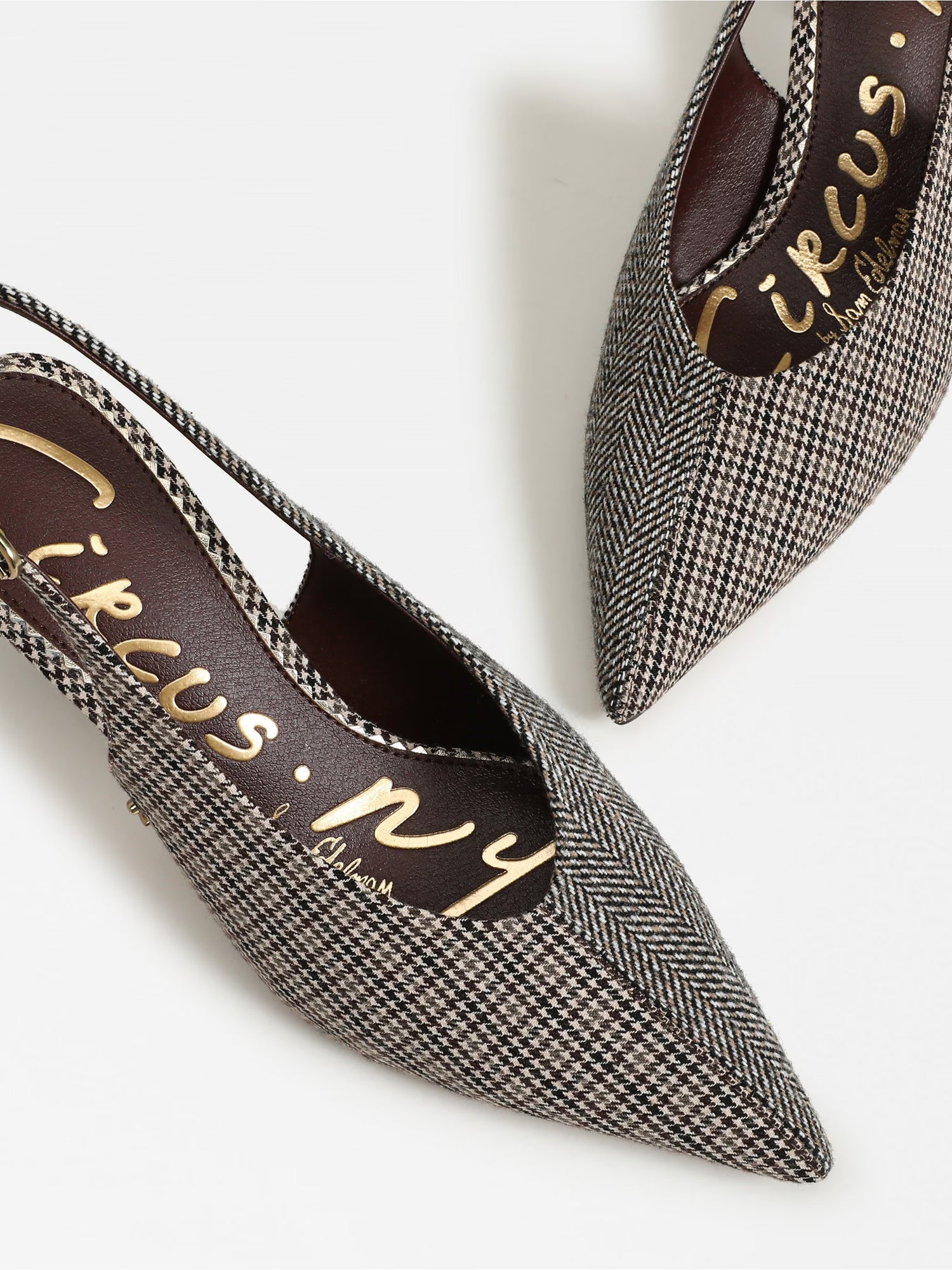 Circus NY by Sam Edelman | Fawn Slingback Pump