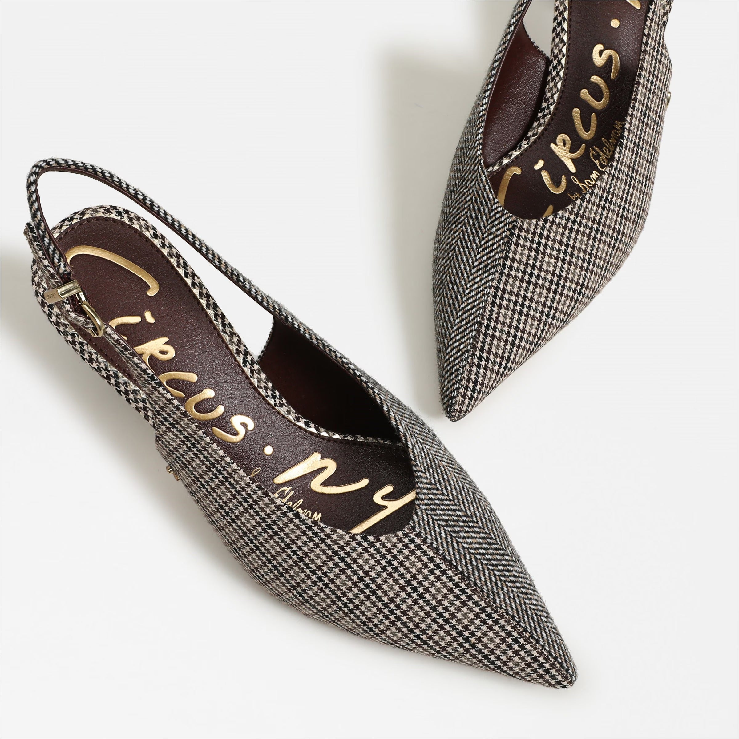 Circus NY by Sam Edelman | Fawn Slingback Pump