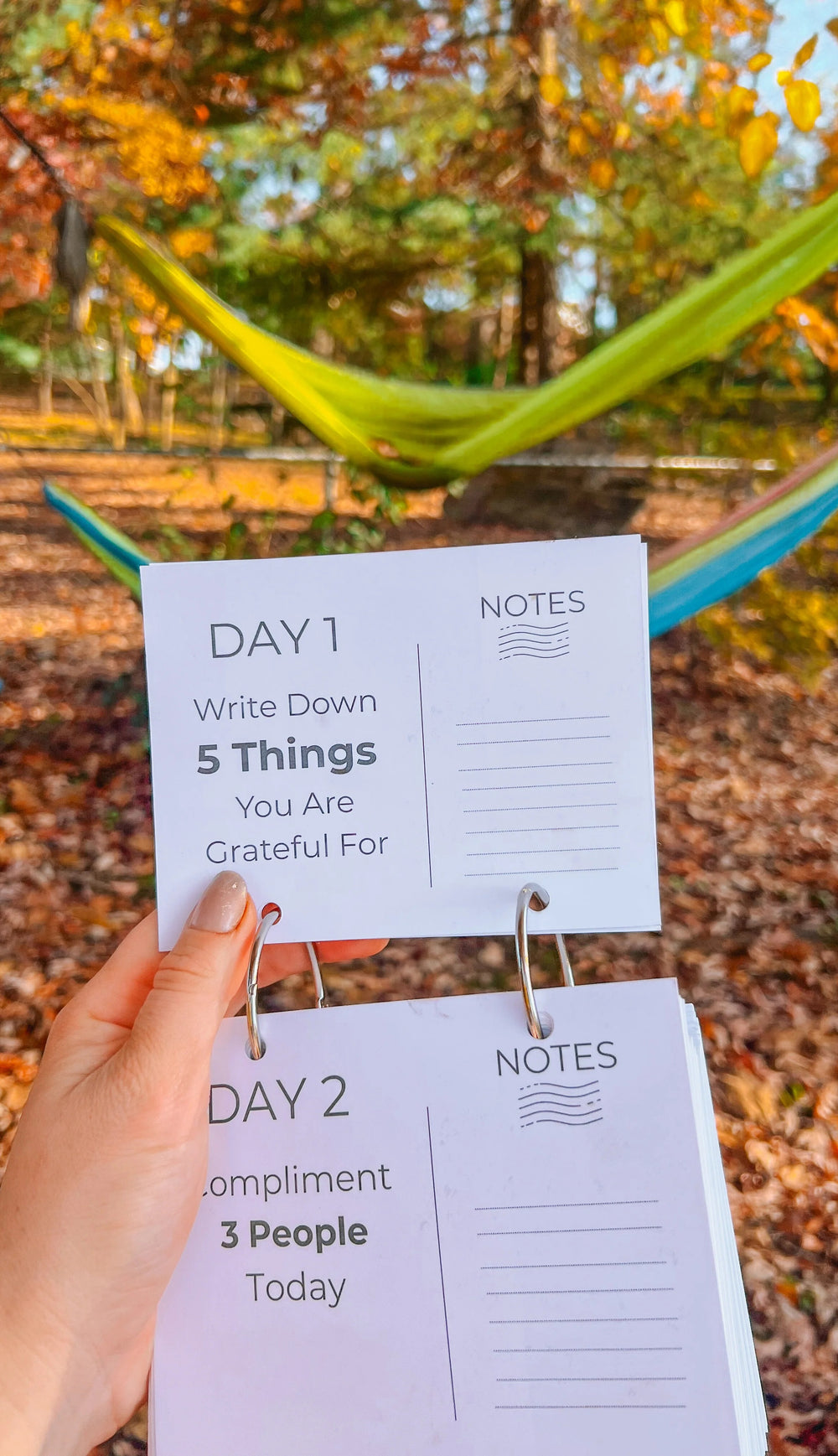 365 Little Big Things