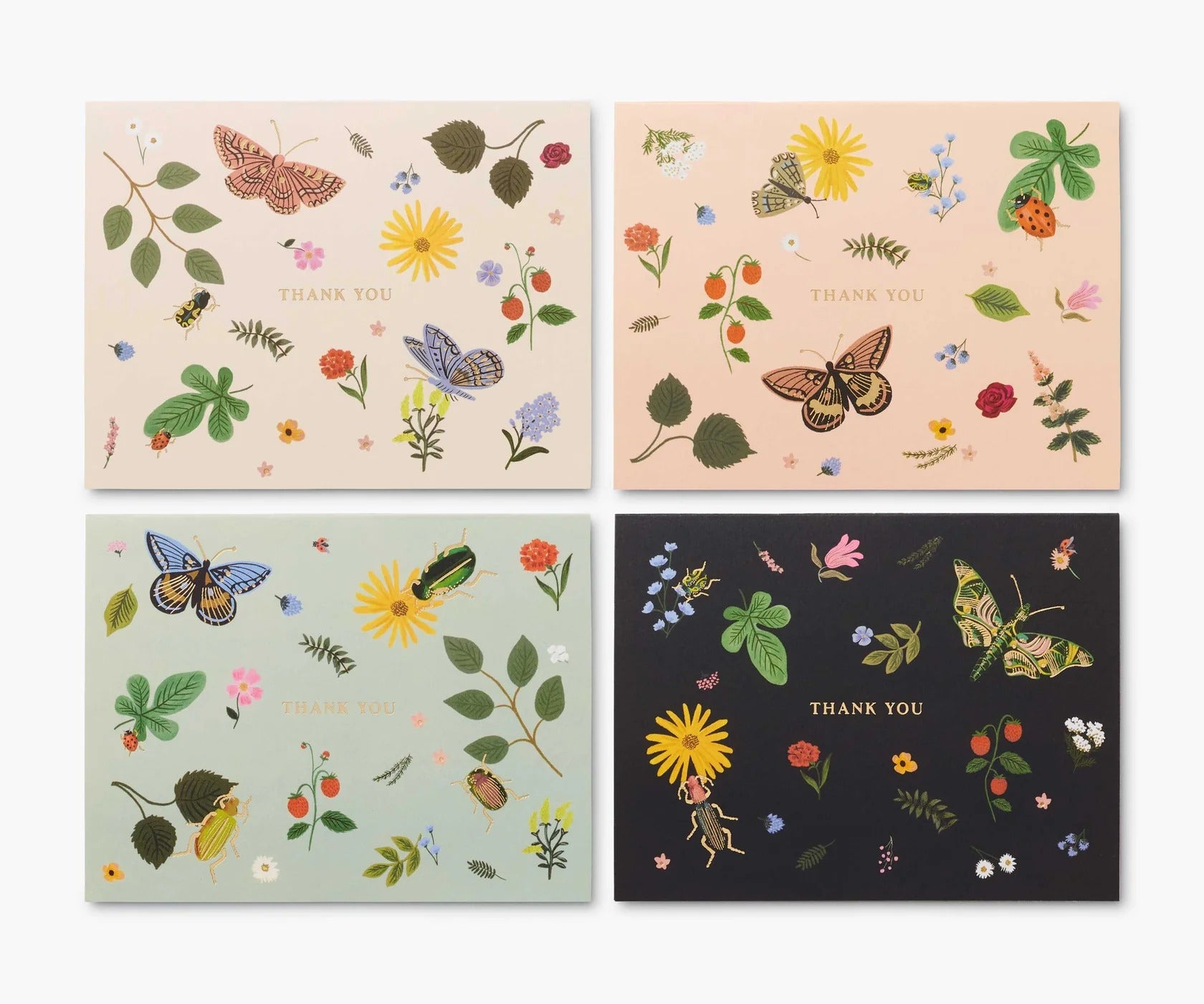 Rifle Paper Co. | Curio Thank You Keepsake Card Box