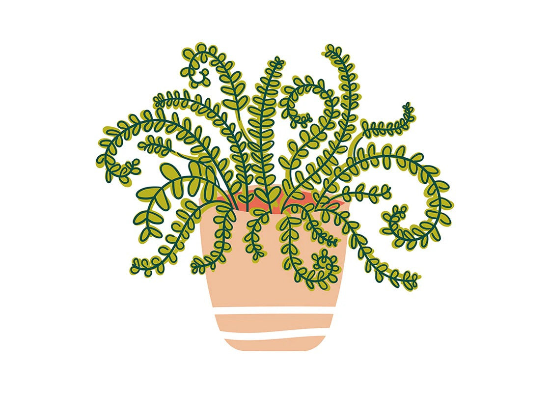 Happy Everything! | Happy Houseplant Big Attachment