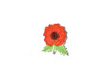 Happy Everything! | Poppy Mini Attachment