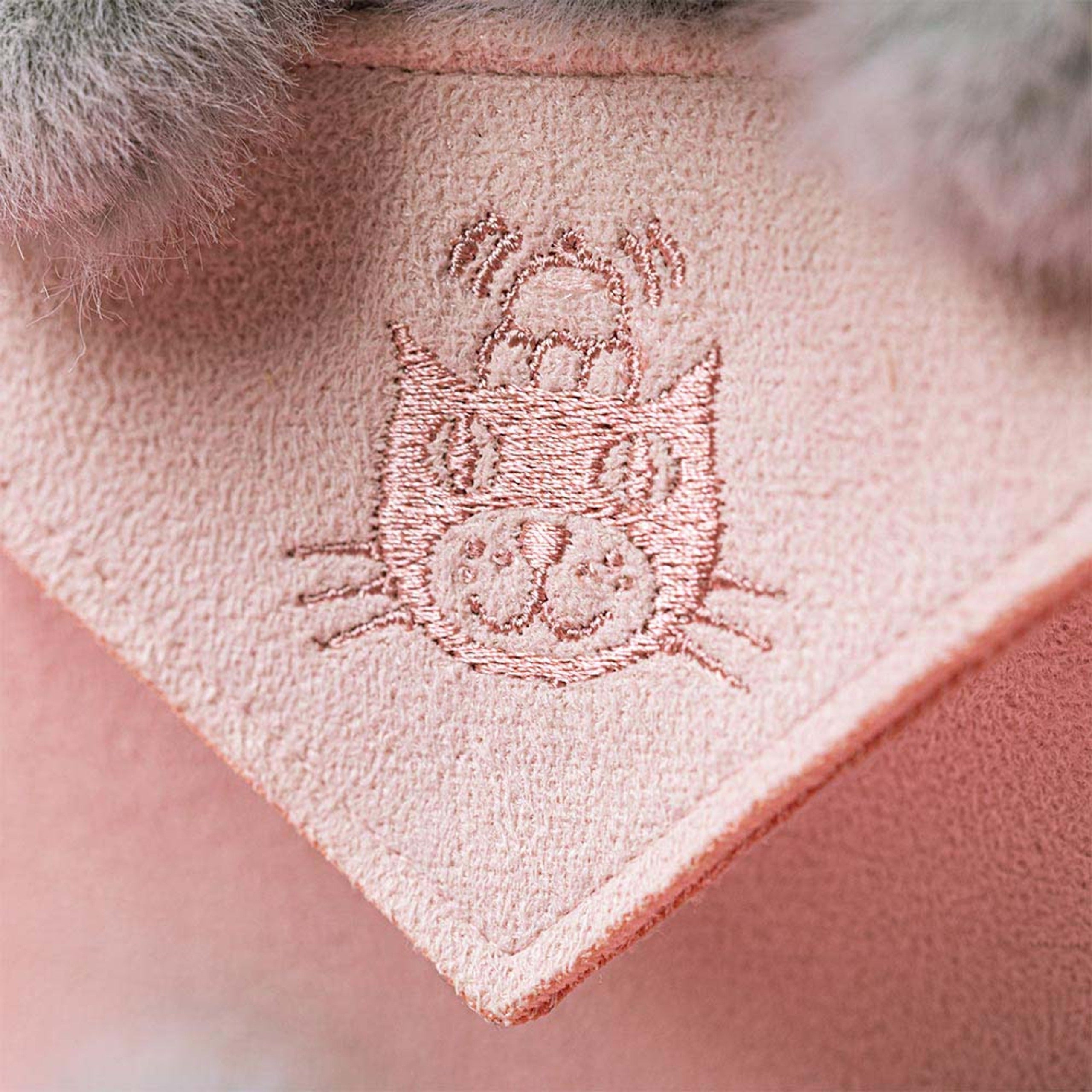 JellyCat | Koala with Message