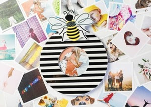 Happy Everything! | Bee Mini Attachment