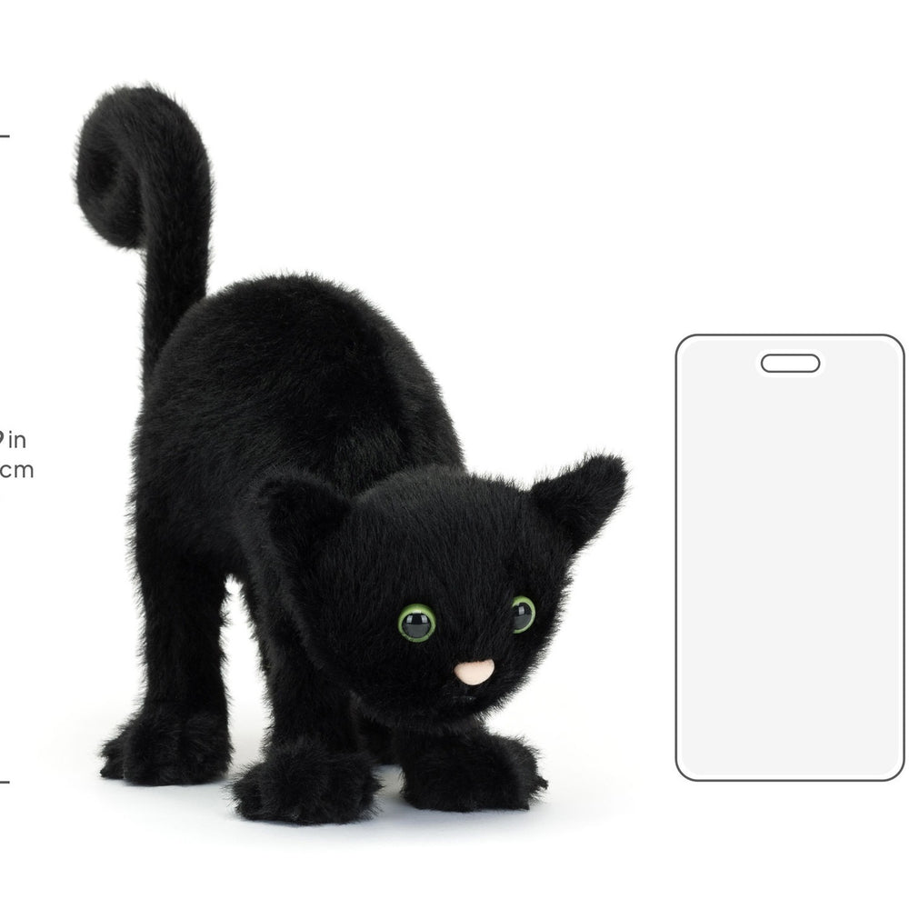 Jellycat | Spookipaws Cat