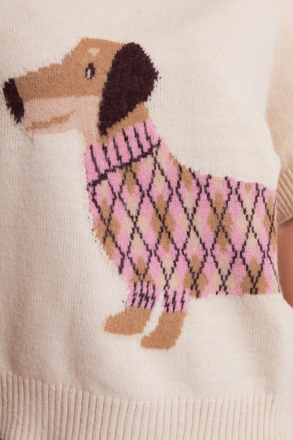 The Preppy Pup Sweater