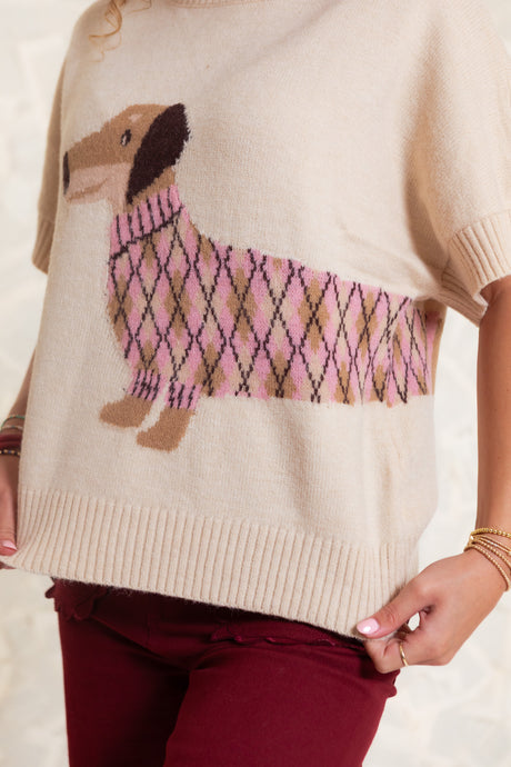The Preppy Pup Sweater