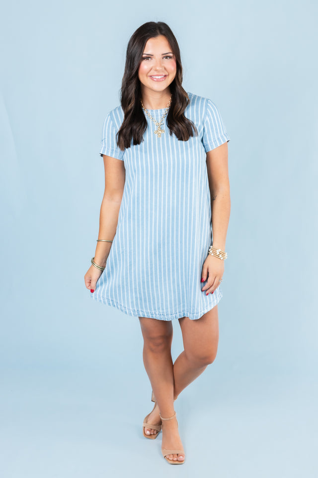 The Paige Mini Dress