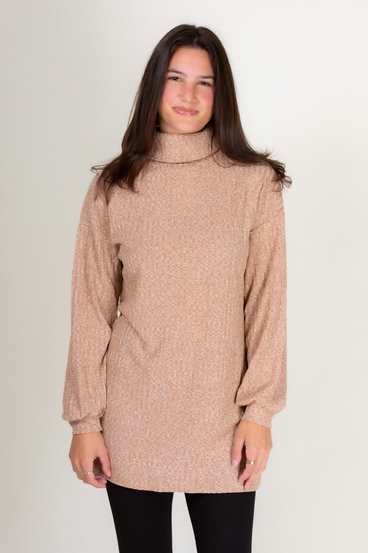 Jessa Turtleneck Mini Dress