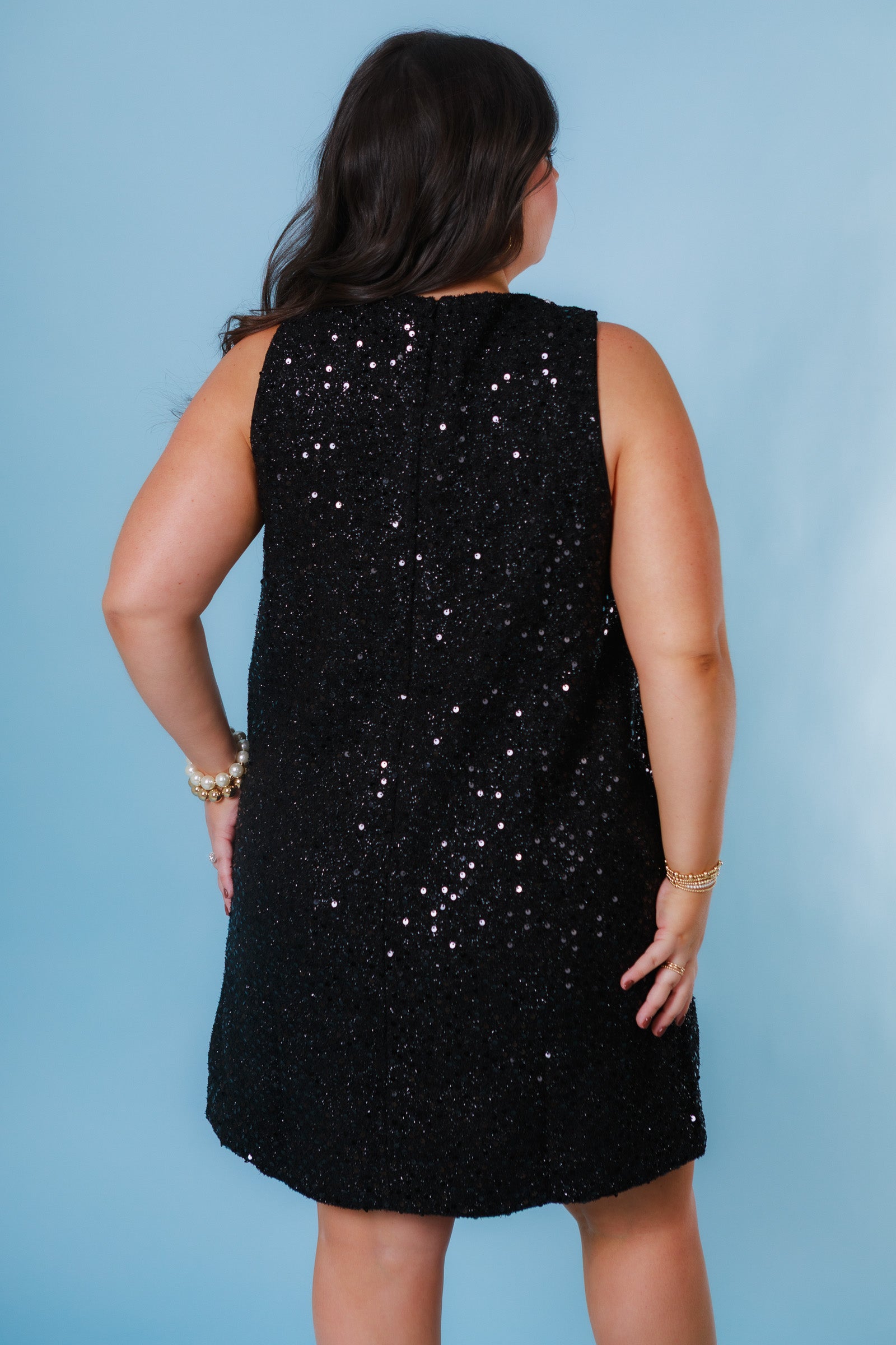 The Elegant Sparkle Dress
