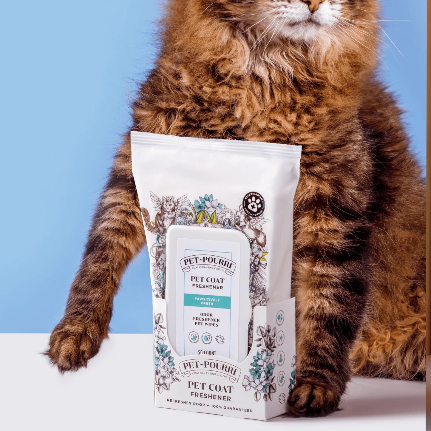 Pet-Pourri | Pawsitively Fresh Wipes