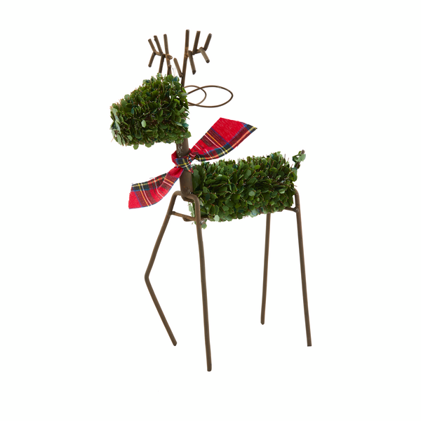 Mudpie | Boxwood Reindeer