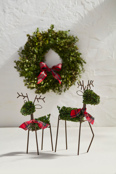 Mudpie | Boxwood Reindeer