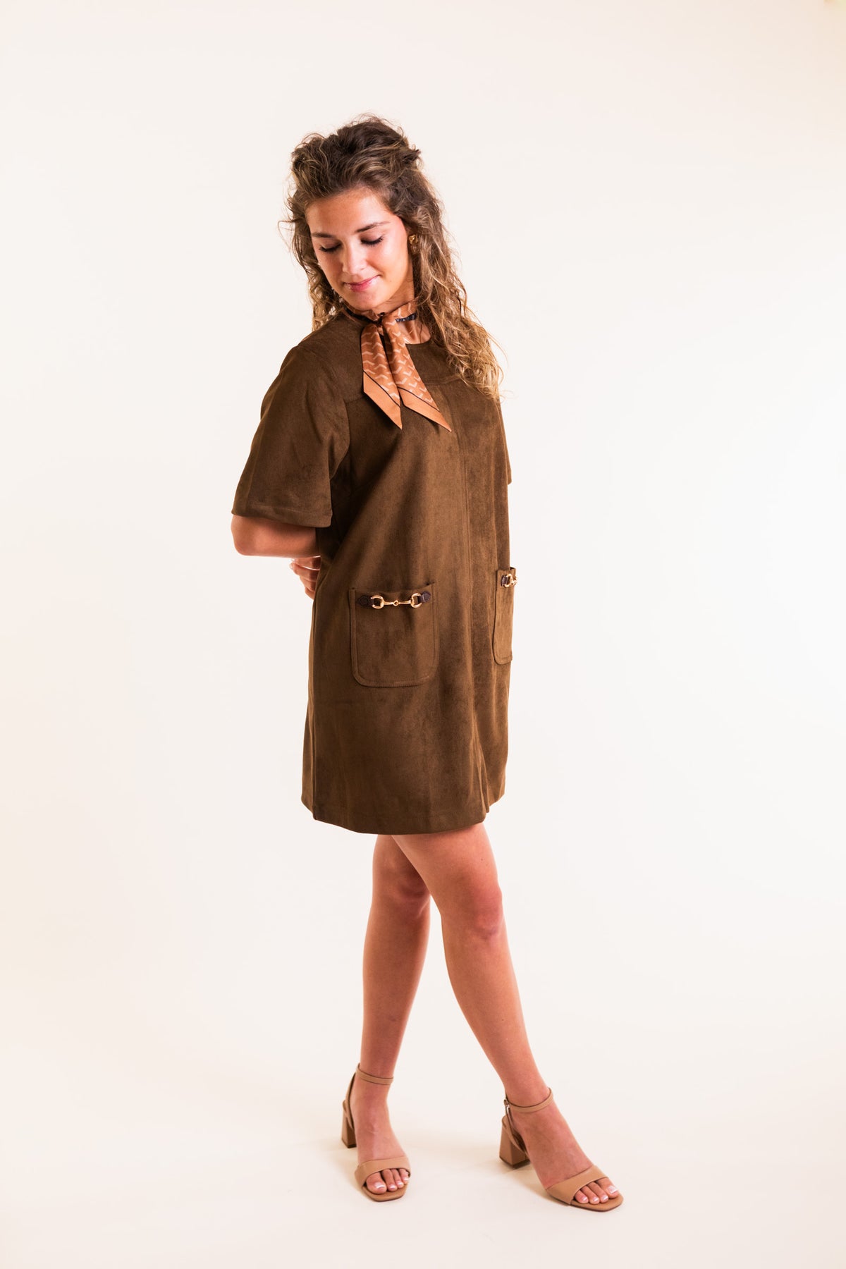 The Stable Style Mini Dress